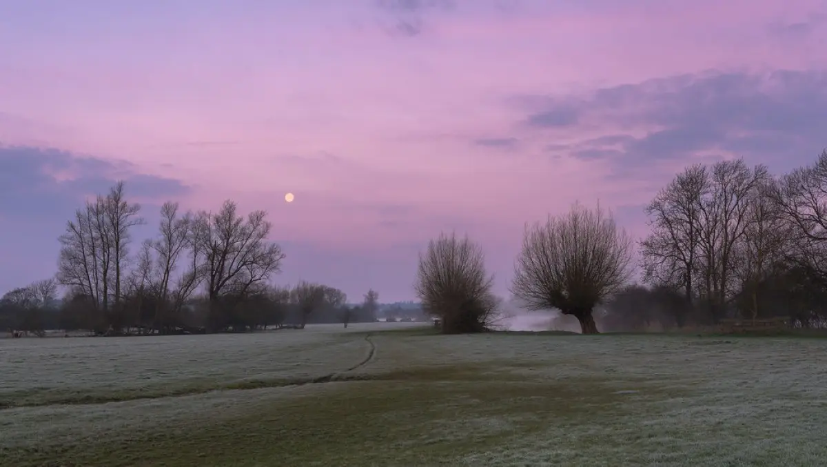 Dedham Vale