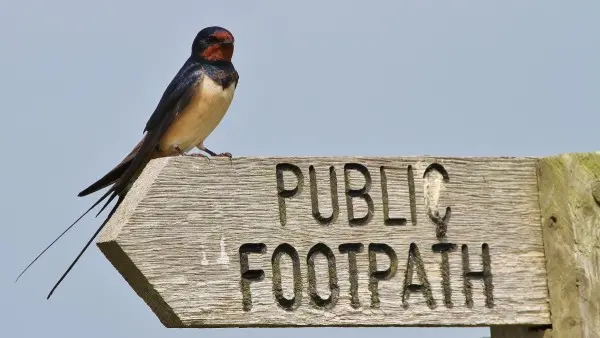 RSPB Minsmere